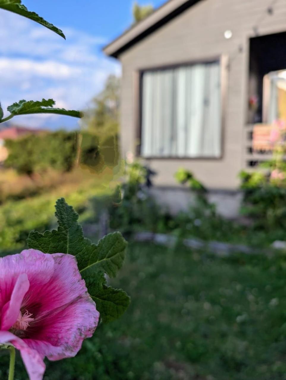 Cottage Kazbegi Sioni エクステリア 写真